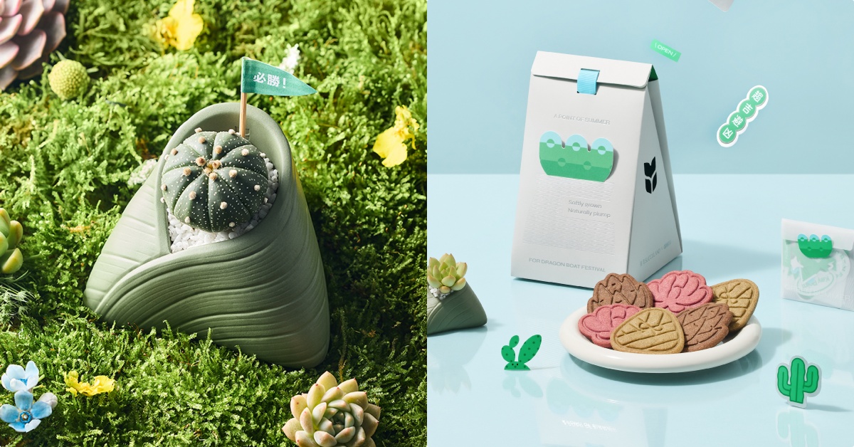 有肉x open it.推端午限定「夏粽點」綠意禮盒！手工「多肉植物造型餅乾」超可愛 